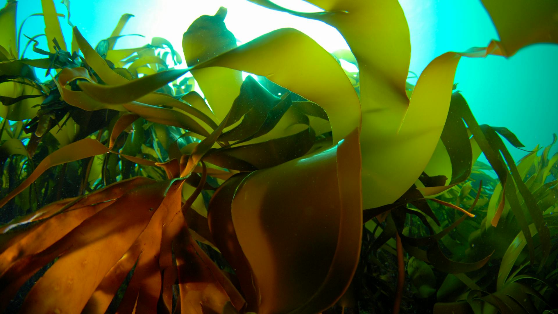 EB0_0109